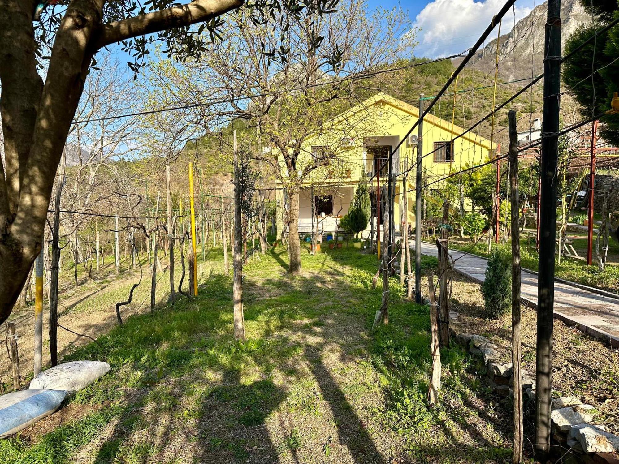 Lakeview Escape Koman Екстер'єр фото