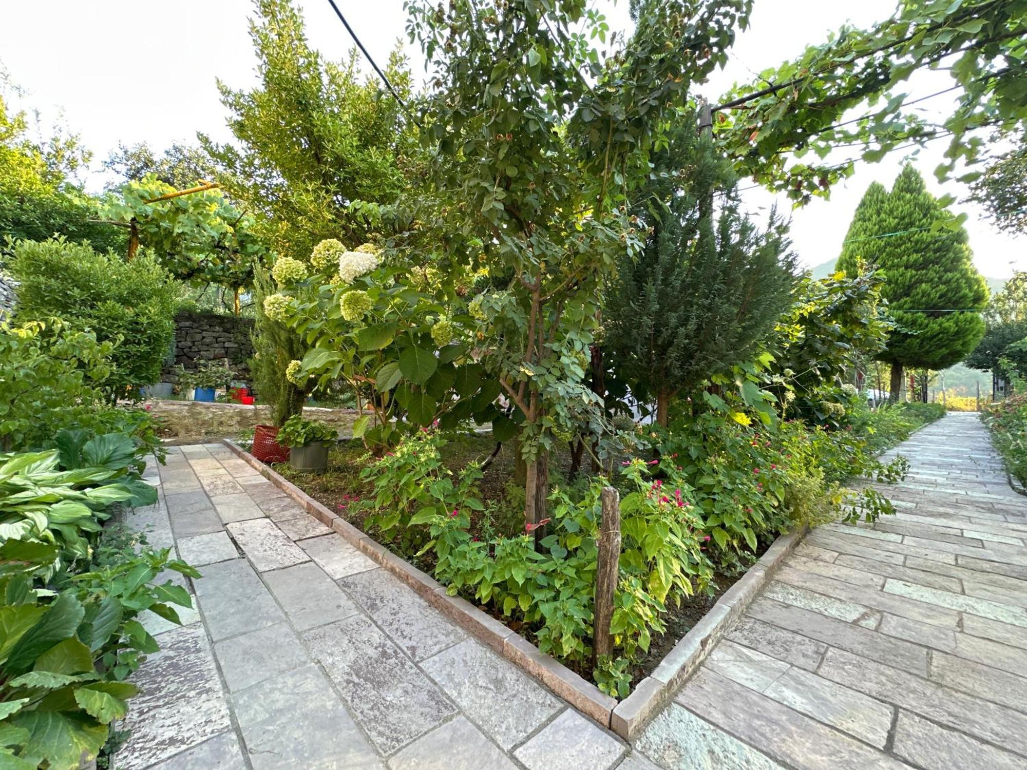 Lakeview Escape Koman Екстер'єр фото
